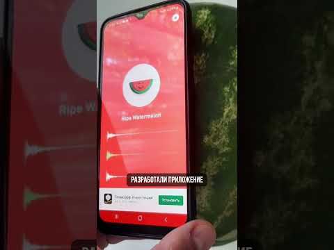 В России разработали приложение для определения спелости арбузов