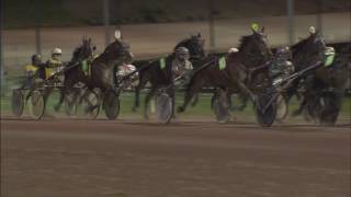 Vidéo de la course PMU MARATHON D'HIVER