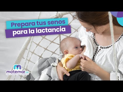 ¿Cómo preparar los