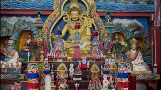 Chechu Puja Dashami Puja On Guru Rinpoche’s Day At Zangdhok Palri Monastery Kalimpong @rinchenvlog
