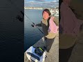 #私を見て元気になーれ