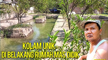 🔴panen di Kolam tumpang sari ala Mas Didik‼️Bisa buat refrensi bagi pemula.