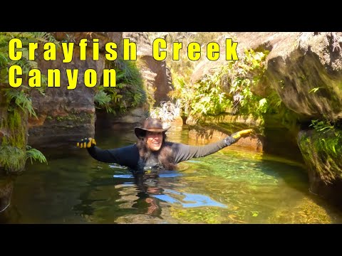 Crayfish Creek Canyon - Blackheath - Blue Mountains - 4K