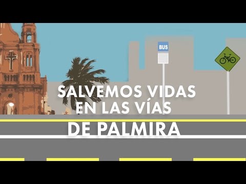 Salvemos Vidas en las Vías de Palmira