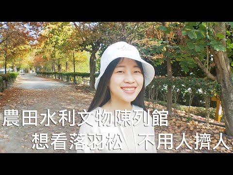 【輕旅遊-林內農田水利文物陳列館】不用人擠人的落羽松景點，適合全家大小一起遊玩的好地方