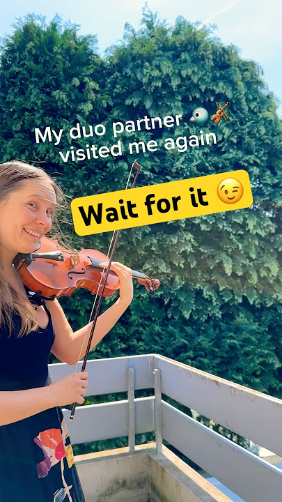 Bird Reacts to Violin again 🐦🎻 - Part 2 of the Viral Duet! Wait for it! #violinist #smartbirds