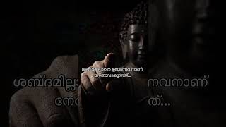 കുരച്ചവർ ചരിത്രമാകില്ല..🔥 | Silent Leader