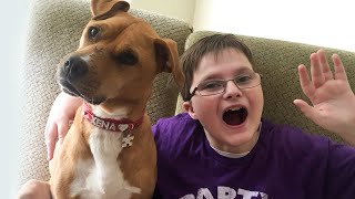 Autistic Boy And Rescue Dog Are BFFs | XENA THE WARRIOR PUPPY | Love Nature Boy With Autism Gets Dog Who Changes His Life The Dodo