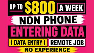 How to Find Non-Phone Data Entry Remote Jobs | Beginner-Friendly Work From Home Opportunities Update