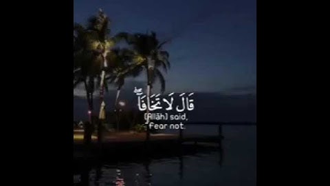 قالا ربنا إننا نخاف أن يفرط علينا أو أن يطغى القارئ  (احمد خضر )💚💚