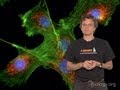 Microscopy: Introduction to Fluorescence Microscopy (Nico Stuurman)