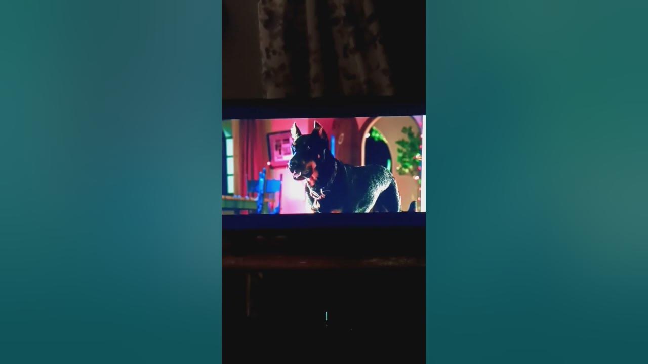 Marmaduke (2010) But Only when Bosco on Screen YouTube