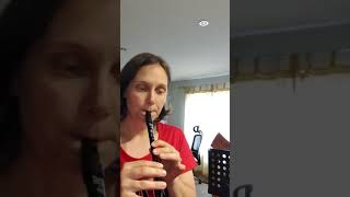 Loch Lomond Tin Whistle on Clarke Meg D whistle. Day 2 of playing