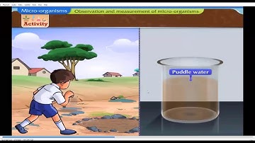Class 7 | Lesson 11 | Cell Structure and Microorganisms |  Topic 4th