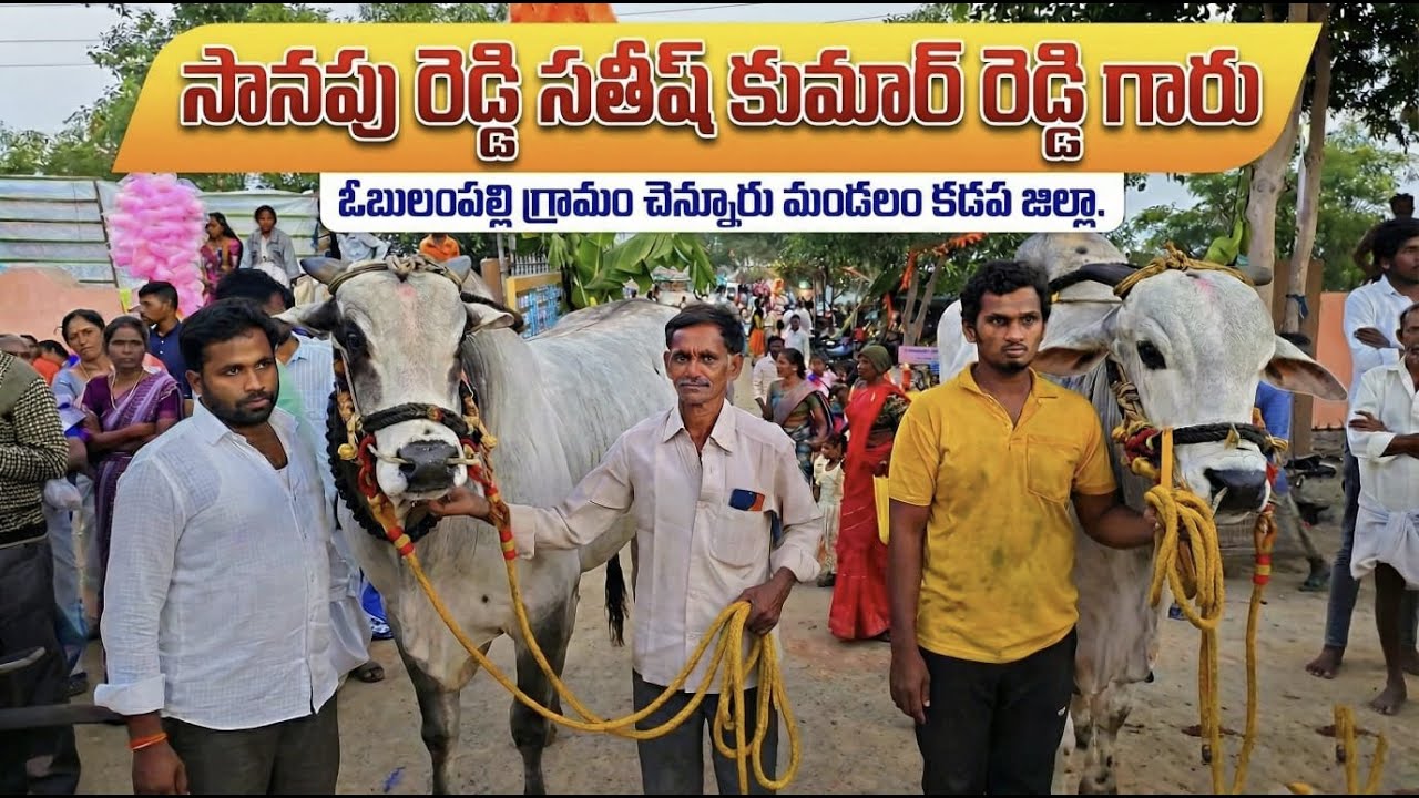 🚩26/2/2026 నక్కలదిన్నె ఓల్డ్ కేటగిరి 6జత సానపు రెడ్డి సతీష్ కుమార్ రెడ్డి గారు