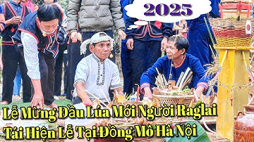 Tái Hiện Lễ Mừng Đầu Lúa Mới Của Người Raglai