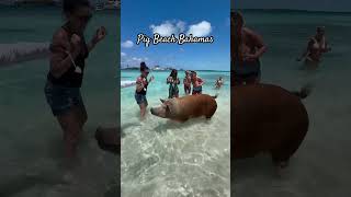 Pig Beach Nau Bahamas