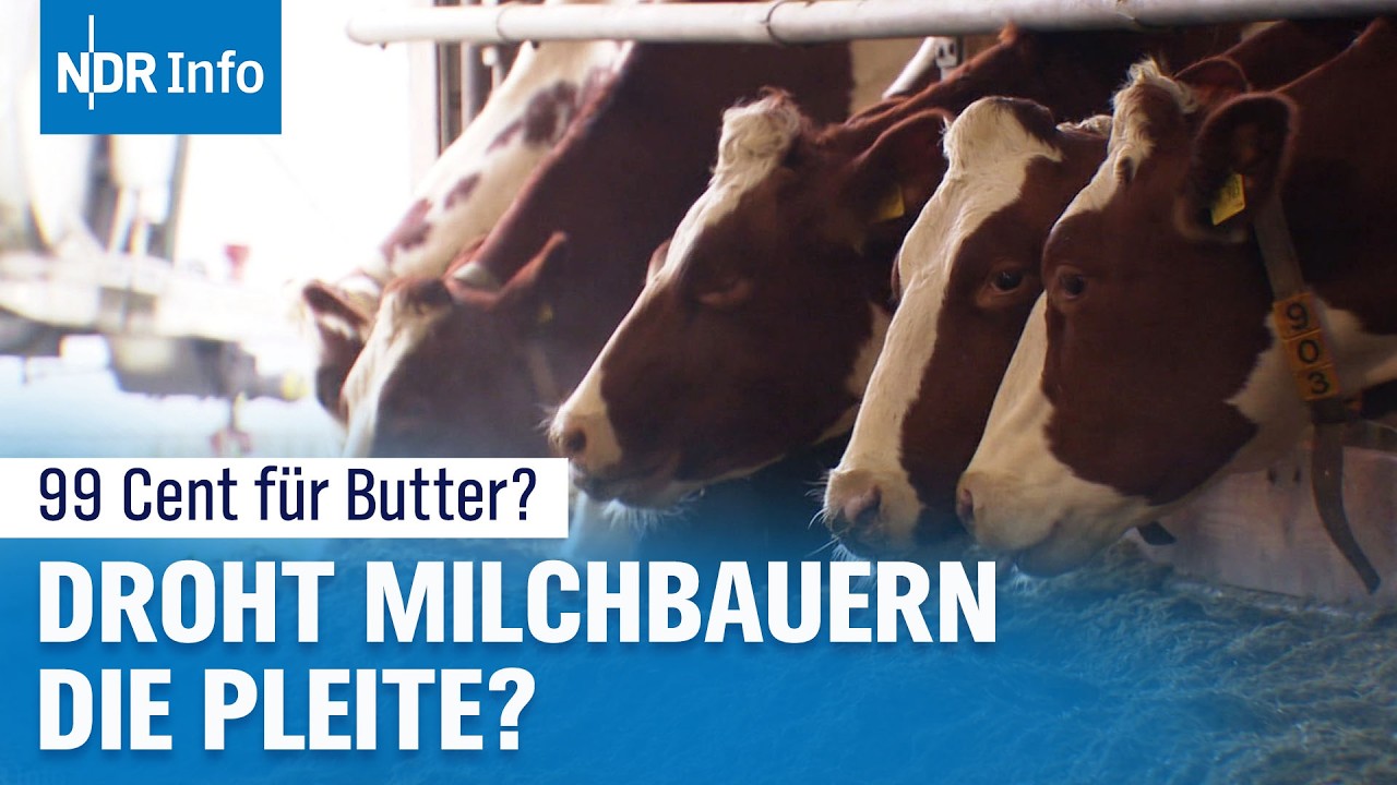 Billige Butter, teure Folgen: Existenzangst bei Landwirten | NDR Info