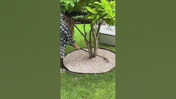 Get your life in order. Keep your garden tidy and clean for winter with Easihold #ocd #tidyhome