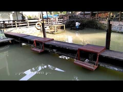 Video: Bagaimanakah anda boleh mengetahui sama ada udang galah mentah adalah buruk?