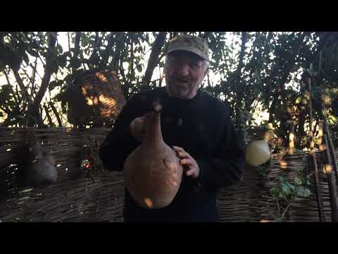 იმერული მარანი