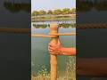 Try This Rope Hack ✅ #knowledge #experiment #camping #usa