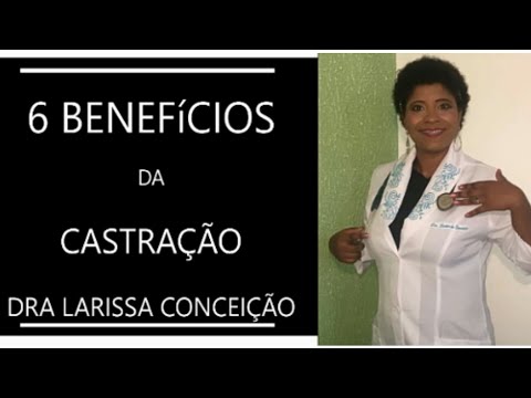 Vídeo: Benefícios Para A Saúde Da Castração E Esterilização De Cães