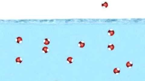 Evaporation and Condensation