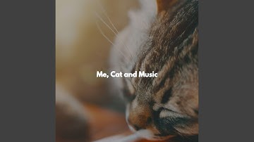 Modish Backdrops for Co-Working Space