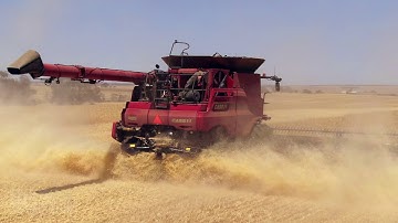 Seed Terminator on Case IH, Harvest 2019