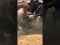 speed generator