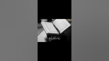 رب اجعلني مقيم الصلاة ومن ذريتي | للقارئ أحمد النفيس | القرآن الكريم