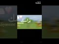 مجنونه كفي خلود موسى قصص نرمين ادمنت صعيدي تصاميم صقر الداخليه مجنونه كفي خلود موسى قصص نرمين ادمنت صعيدي تصاميم صقر الداخليه