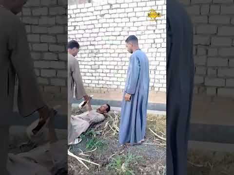 يا ننهض وننجو يا نزرعها بانجو مطب كوميدي