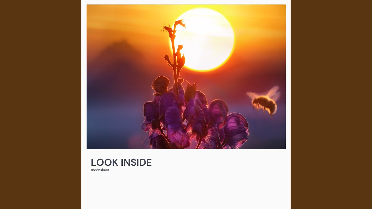 Look Inside adlı videoyu YouTube'da izle Look Inside adlı videoyu YouTube'da izle