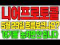 [니어프로토콜 코인전망] 5월29일 흐름 보셨나요? "여기를" 놓치면 안됩니다!!