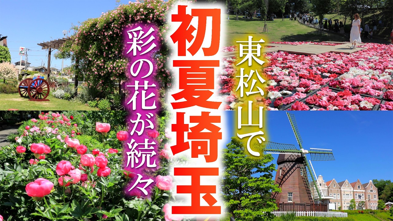 春が終わったので東松山で初夏の花を楽しんできました/東松山ぼたん園/埼玉観光旅行vlog