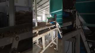 cashew grading #machine #trading