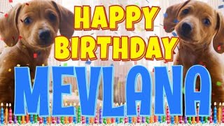 Happy Birtay Mevlana (Funny Talking Dogs) What Is Free On My Birtay