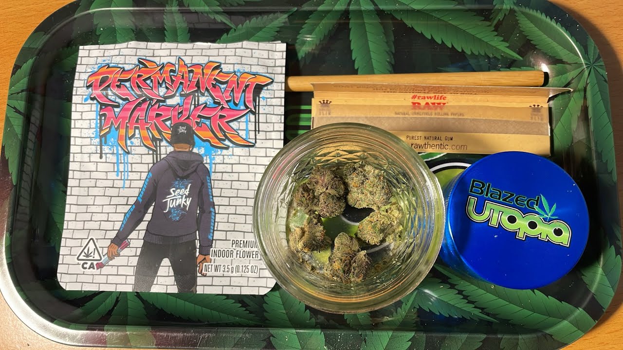 BLINDGORILLAS HOW TO ROLL A JOINT LIVE SEED JUNKY PERMANENT MARKER 02/09/24 12PM