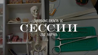 медицинский влог: сессия на 3 курсе