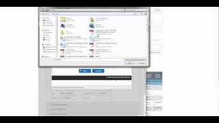 BSA_FORM_TUTORIAL2