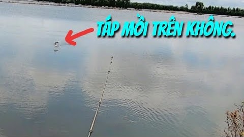 Câu cá lóc đồng mùa lũ (p7) - Buổi câu may mắn. Thợ săn cá lóc.