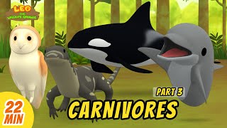 Carnivores Minisode Compilation (Part 3/6)  Leo the Wildlife Ranger | Animation | For Kids | Family