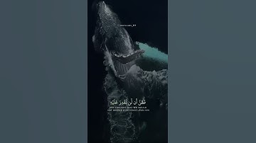 #وديع_اليمني/ماتيسر من سورة الأنبياء/(وَذَا ٱلنُّونِ إِذ ذَّهَبَ مُغَٰضِبٗا..)#قرآن #قران #قرأن