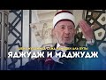 Кто они ? Яджудж и Маджудж / Шейх Мухаммад Саид Рамадан Аль Буты / Ar.Risala.