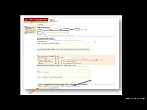 LVMC Cardiology rDVM Portal Instructions