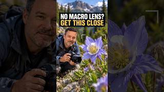 No macro lens? Get this close! Get your FREE camera settings cheat sheets. Visit timsphotos.com