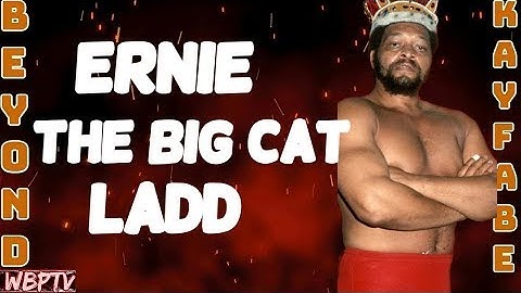 A Python TKinter Interface with an OptionMenu Event that displays an Image