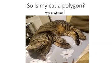 🐱 Year 5 - Summer 2 - Week 3 - Polygons